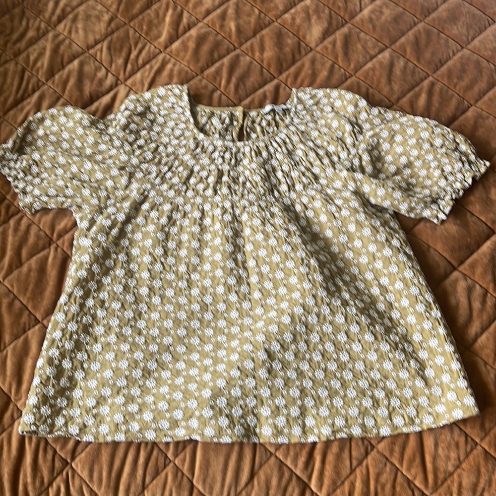 Madewell Daisy Embroidered Shirred Puff Sleeve Top